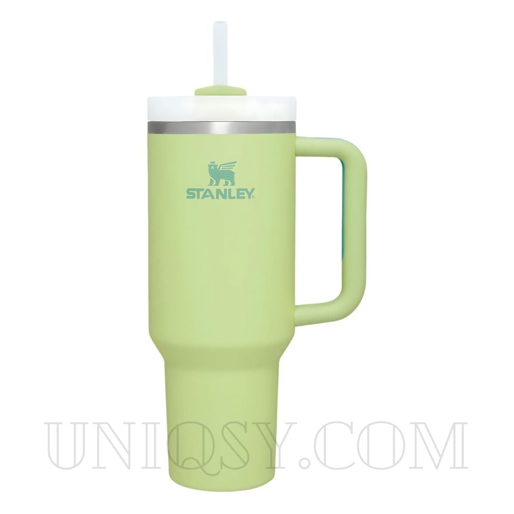 Stanley 40 OZ Tumbler Cup with Handle and Straw - Stainless Steel 1.1L